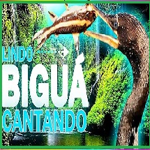 DJ BIGUA
